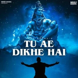 Tu Ae Dikhe Hai Song Download